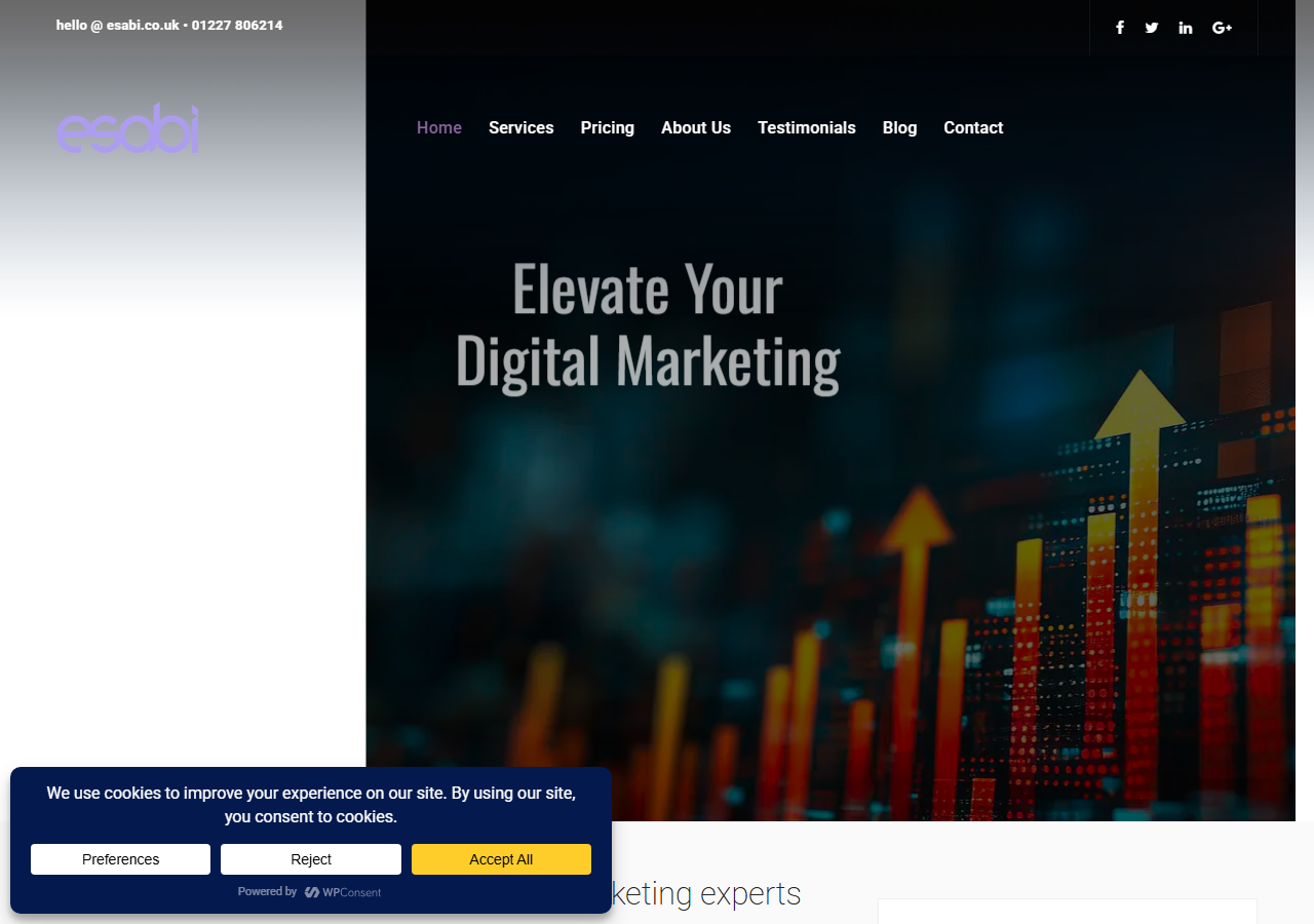 Esabi Digital Marketing and SEO homepage screenshot, an SEO and answer engine optimisation agency based at Canterbury Innovation Centre