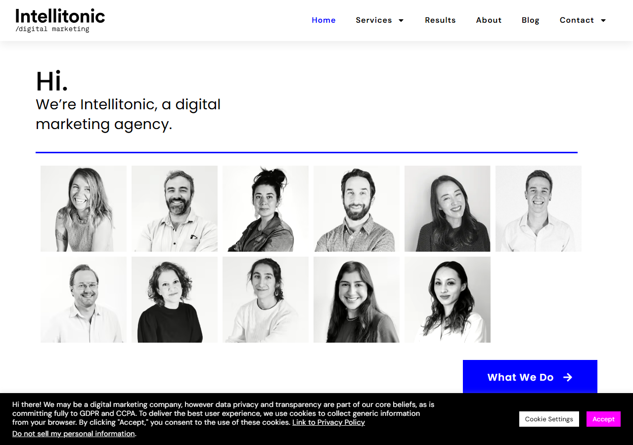 Intellitonic homepage screenshot, an SEO and digital marketing agency based in Bellingham, Washington