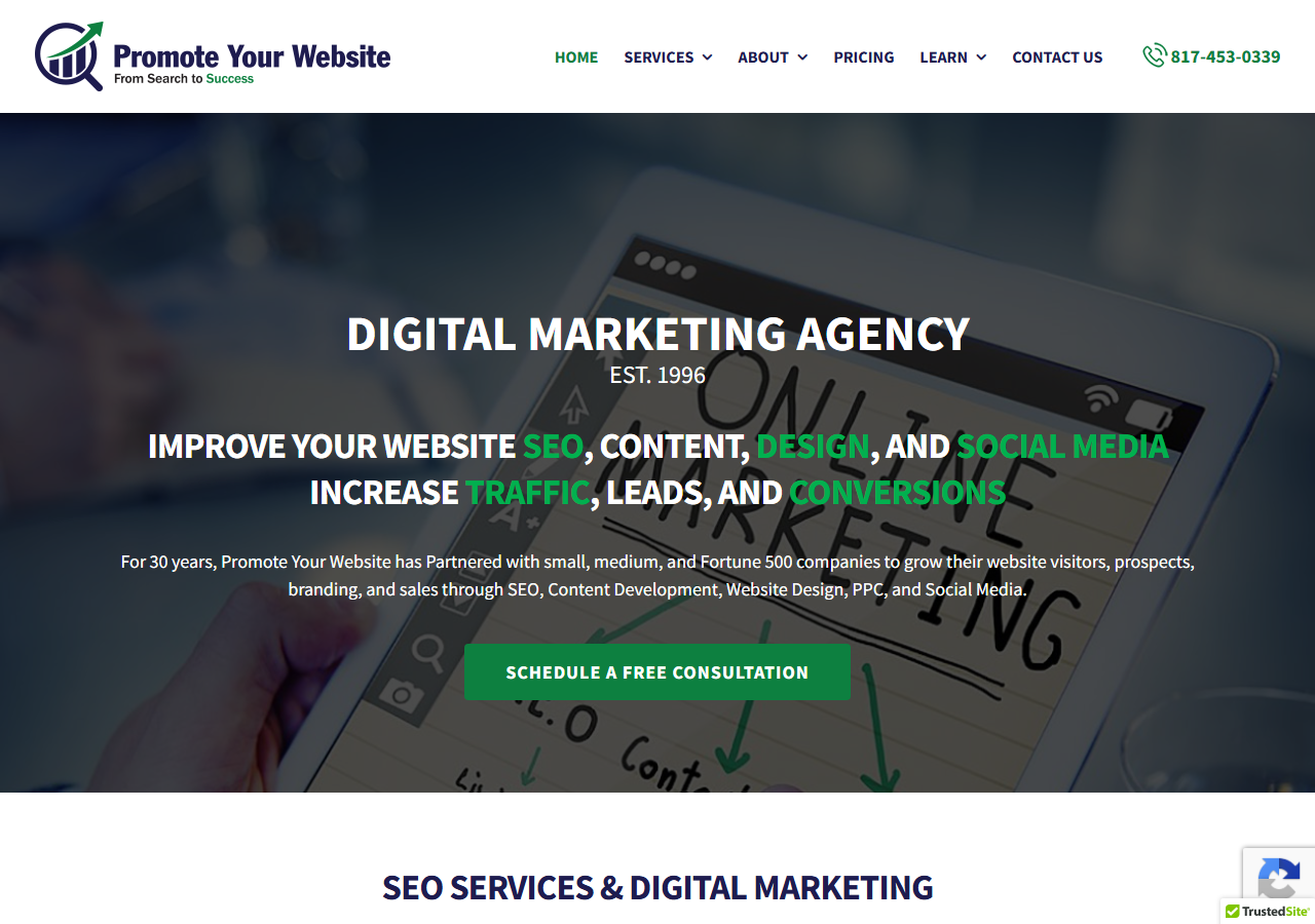 Promote Your Website homepage screenshot, a technical SEO, content and link building agency based in Mansfield, Texas